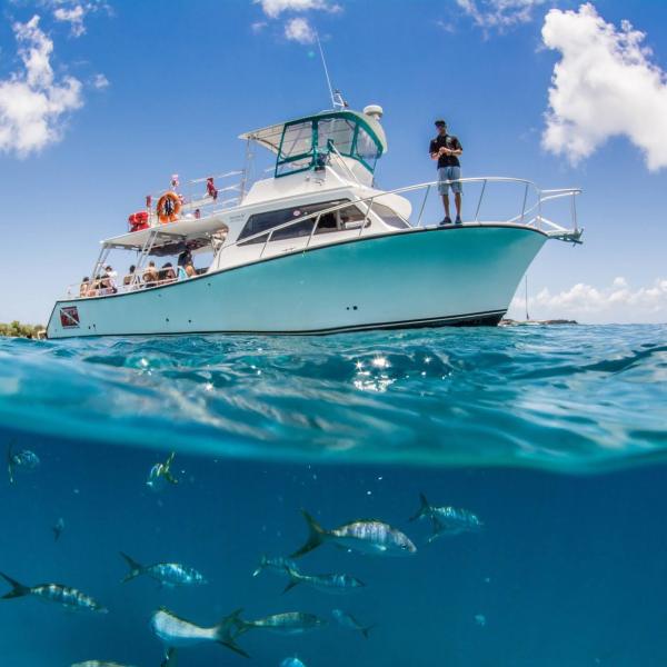 Boat on water surface, person standing on deck; fish visible underwater.