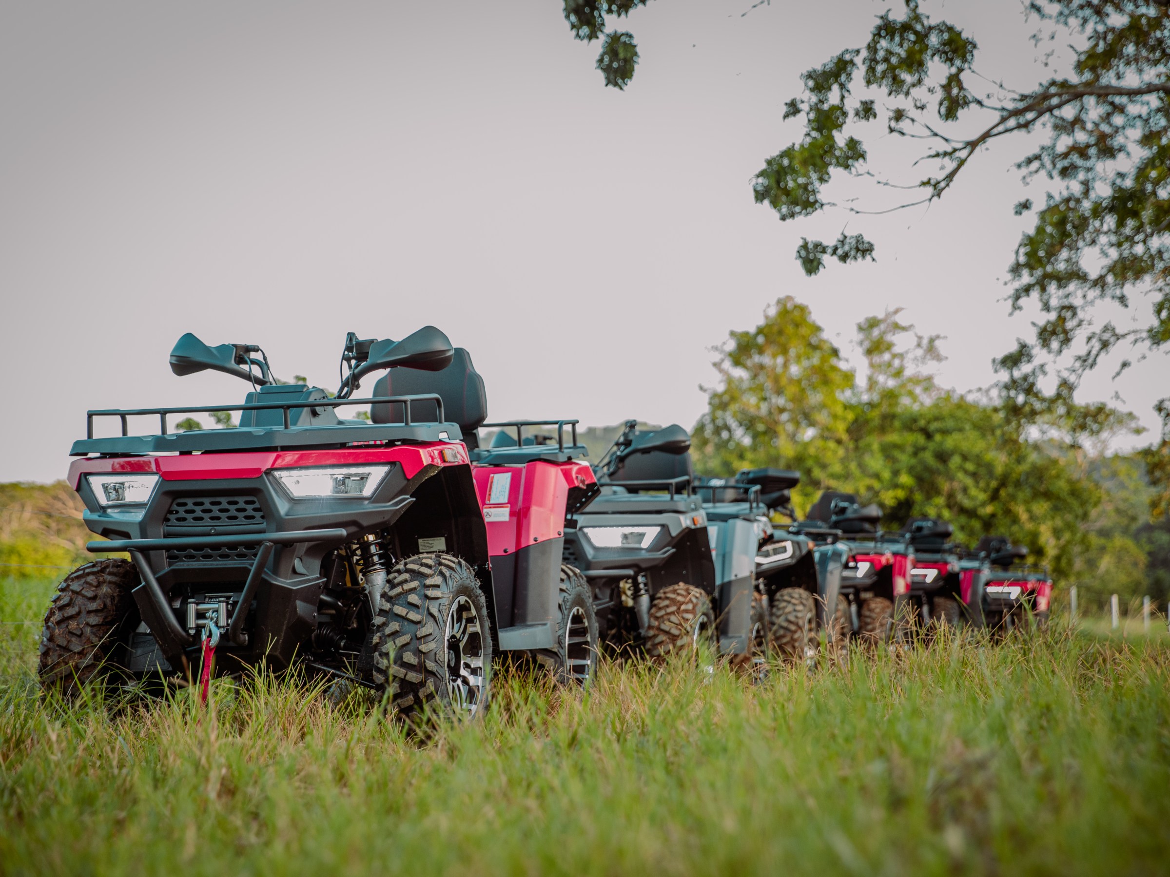 Row of red quad bikes parked on grassy field, trees in background.
