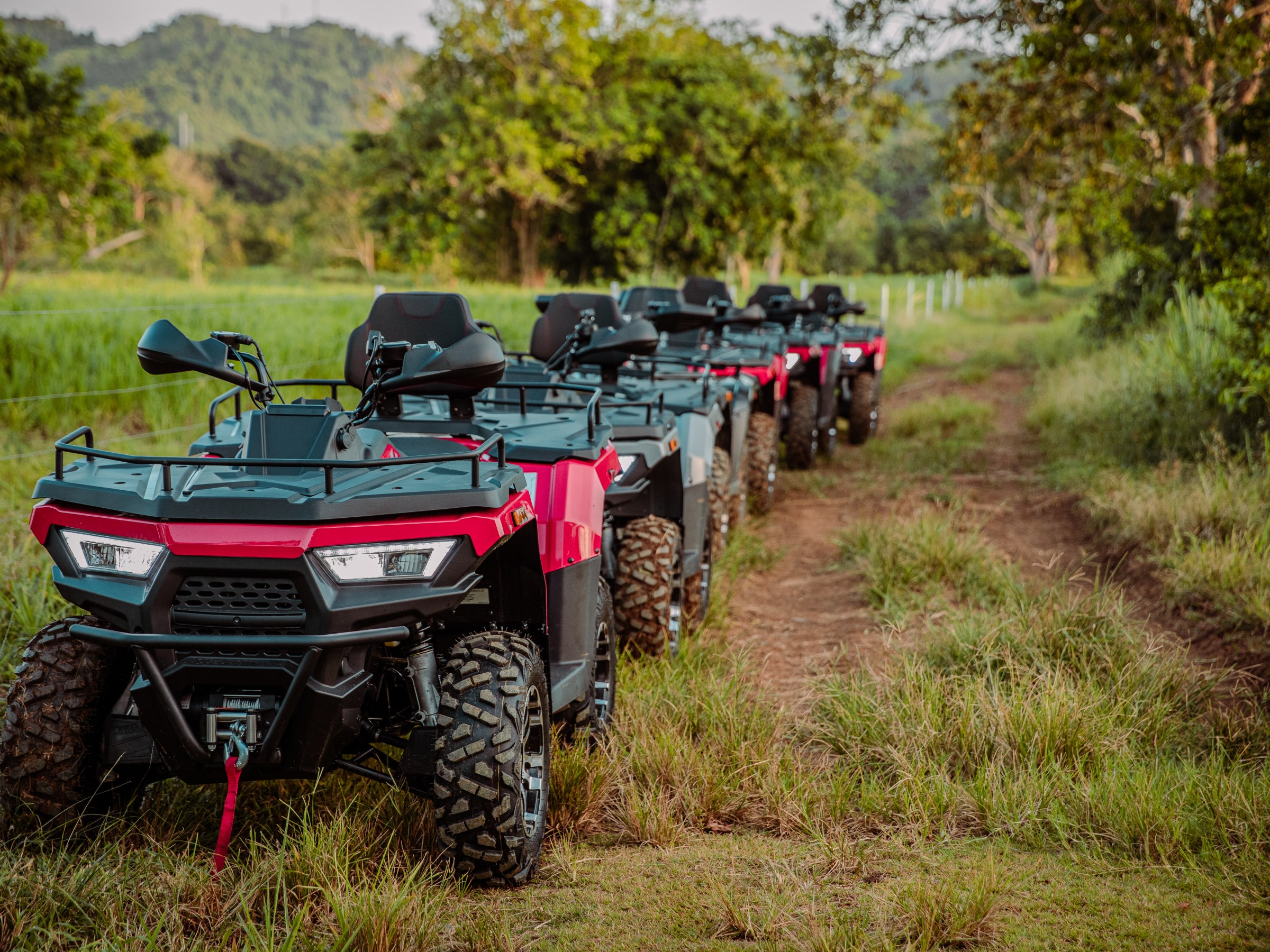 Line of red ATVs parked on a dirt path in a grassy area.