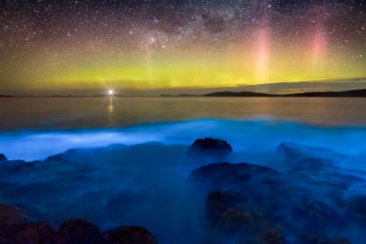 Aurora over a seascape with glowing blue waves and starry sky.