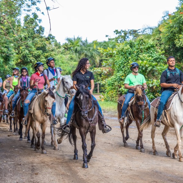 Group of people horseback riding on a forest trail.