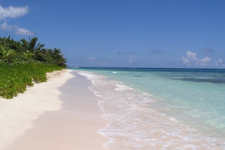 Tropical beach with palm trees, white sand, and clear blue water under a clear sky.