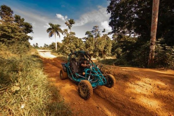 Off-road vehicle on dirt path through tropical forest.