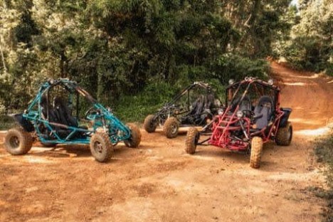 Three off-road dune buggies parked on a dirt path in a forest.