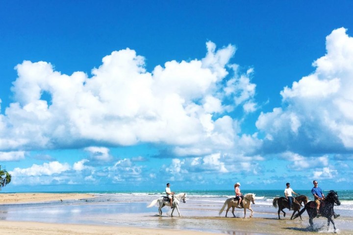 People riding horses on a sunny beach under a blue sky with clouds.