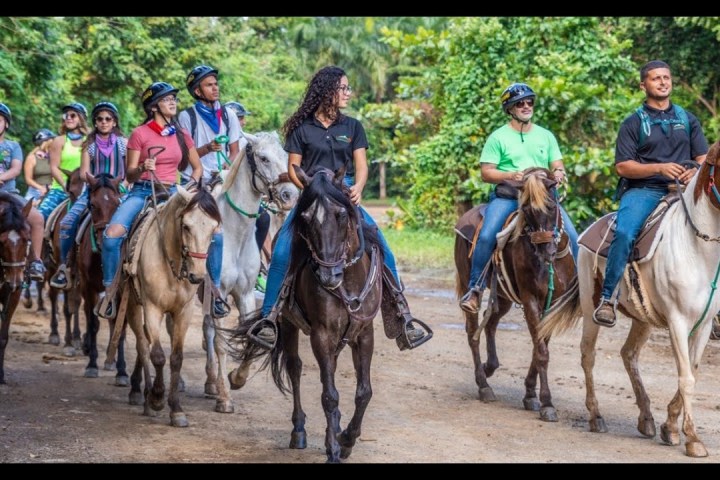 Group of people riding horses on a forest trail.