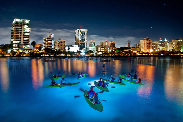 Kayakers on glowing water with city skyline at night.