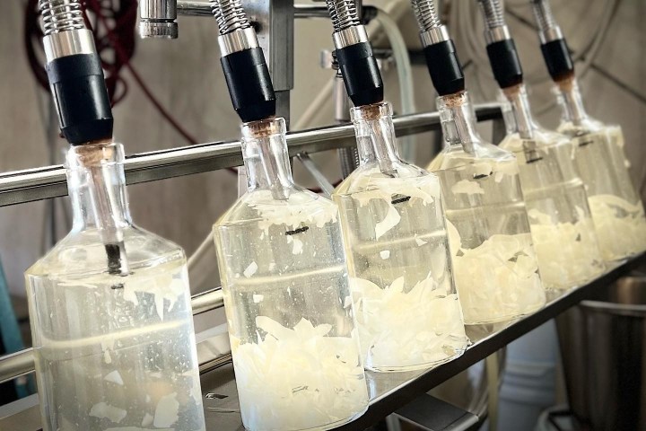Bottling machine filling glass bottles with liquid and white chunks.