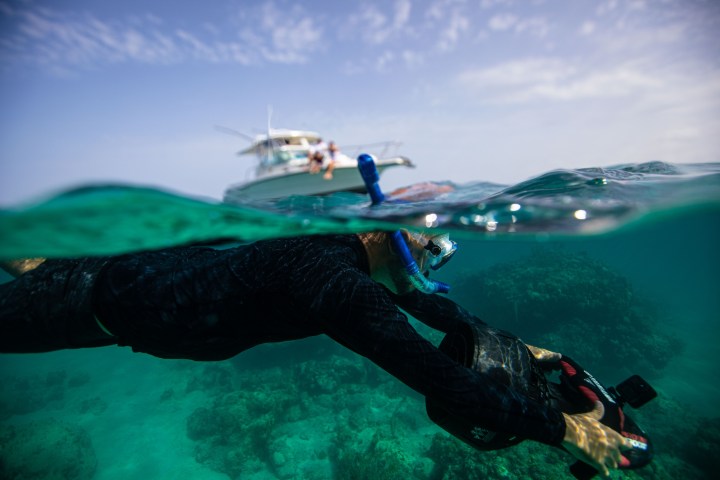 Person snorkeling underwater near a boat.