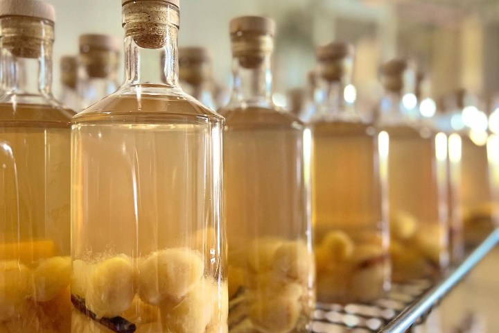 Bottles of fruit-infused liquor on a metal shelf.