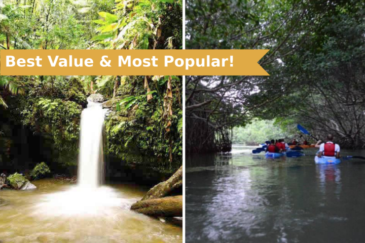 Split image: waterfall in forest, kayakers in mangrove.