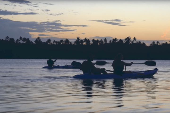 Silhouettes of kayakers on a calm lake at sunset with a tree-lined shore.