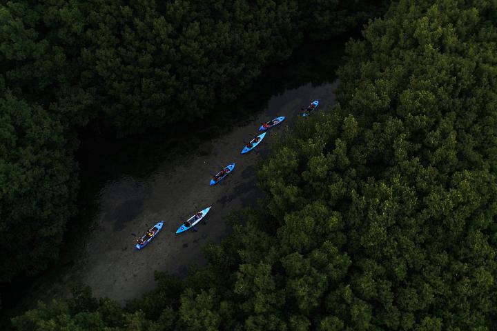 Kayakers paddling through a narrow river surrounded by dense green foliage.