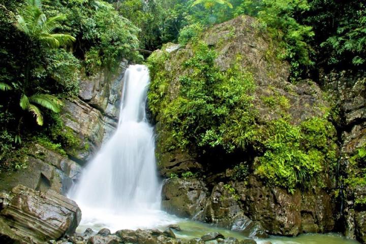Waterfall flowing down rocks surrounded by lush green forest.
