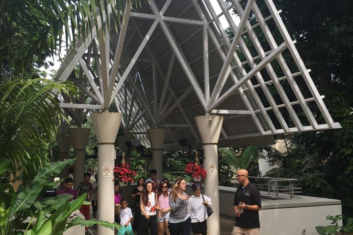 Group walking on path under metal canopy surrounded by lush greenery.